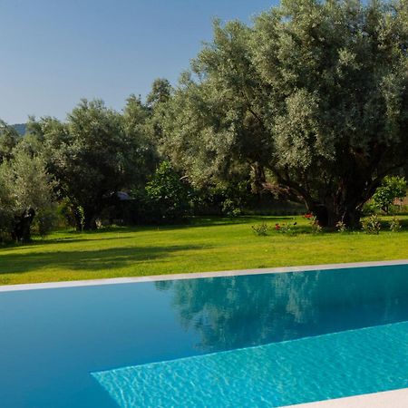 Averto Villas With Private Pool Nydri (Lefkada) Exterior foto